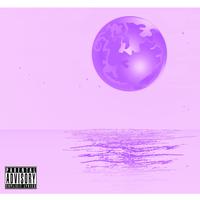 Mushy Voyage VOL1