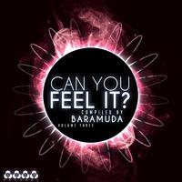 Can You Feel It?, Vol. 3 (Compiled By Baramuda)