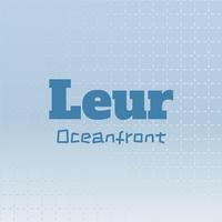 Leur Oceanfront