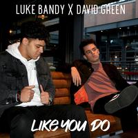 Like You Do (feat. David Green)