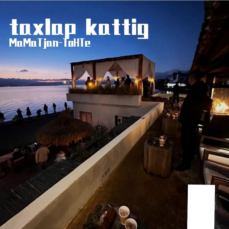 taxlap kattiG 离开了我