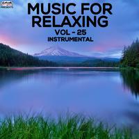 Music for Relaxing, Vol. 25