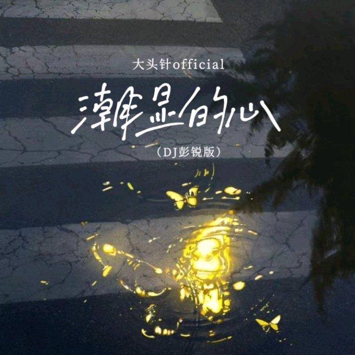 潮湿的心(大头针 版)（彭锐版）封面