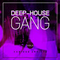 Deep-House Gang, Vol. 3