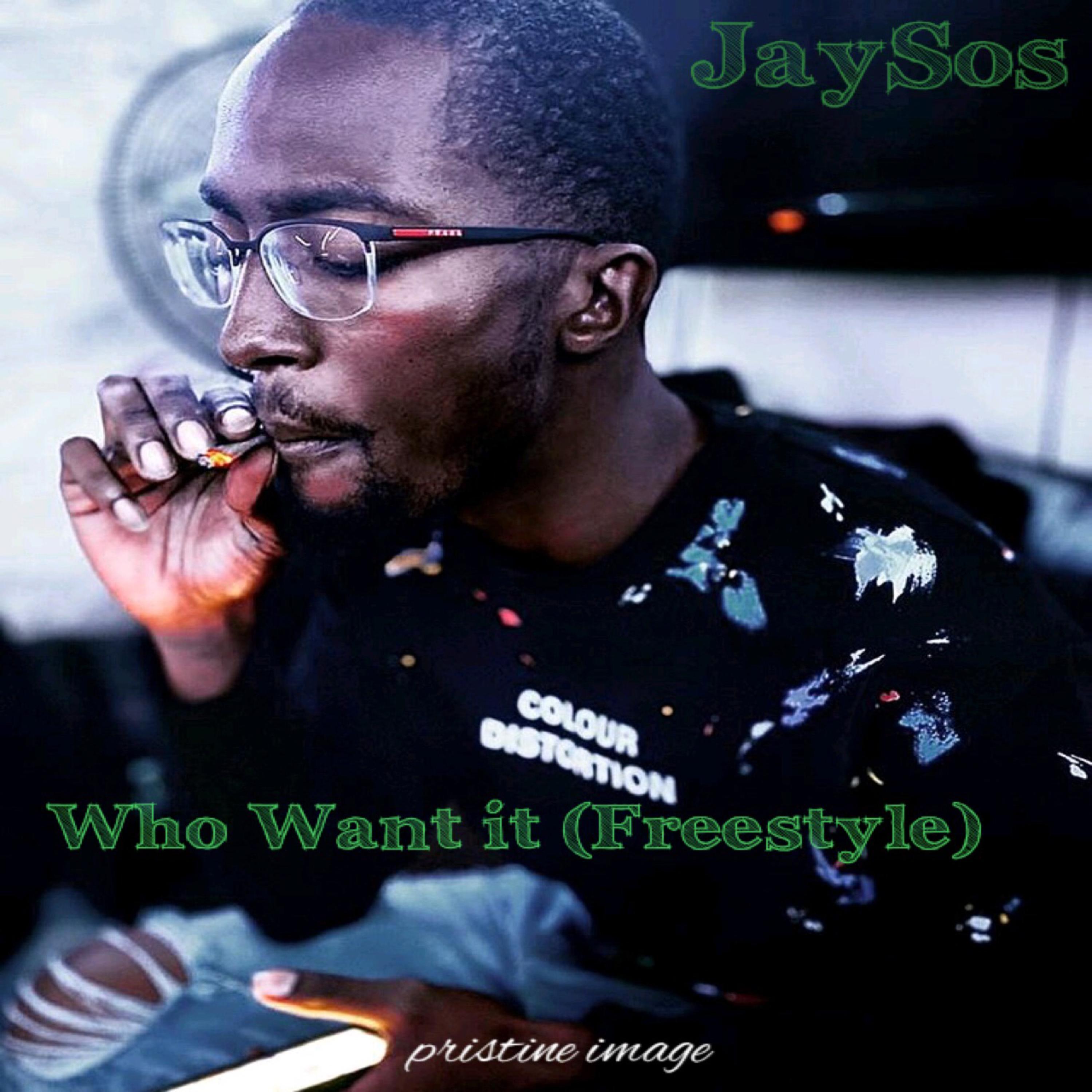 Who Want It (Freestyle)