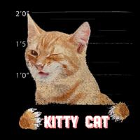 kitty cat (feat. grxmz)