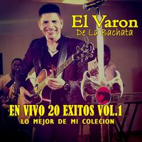 20 Exitos Lo Mejor de Mi Colecion, Vol. 1 (En Vivo)