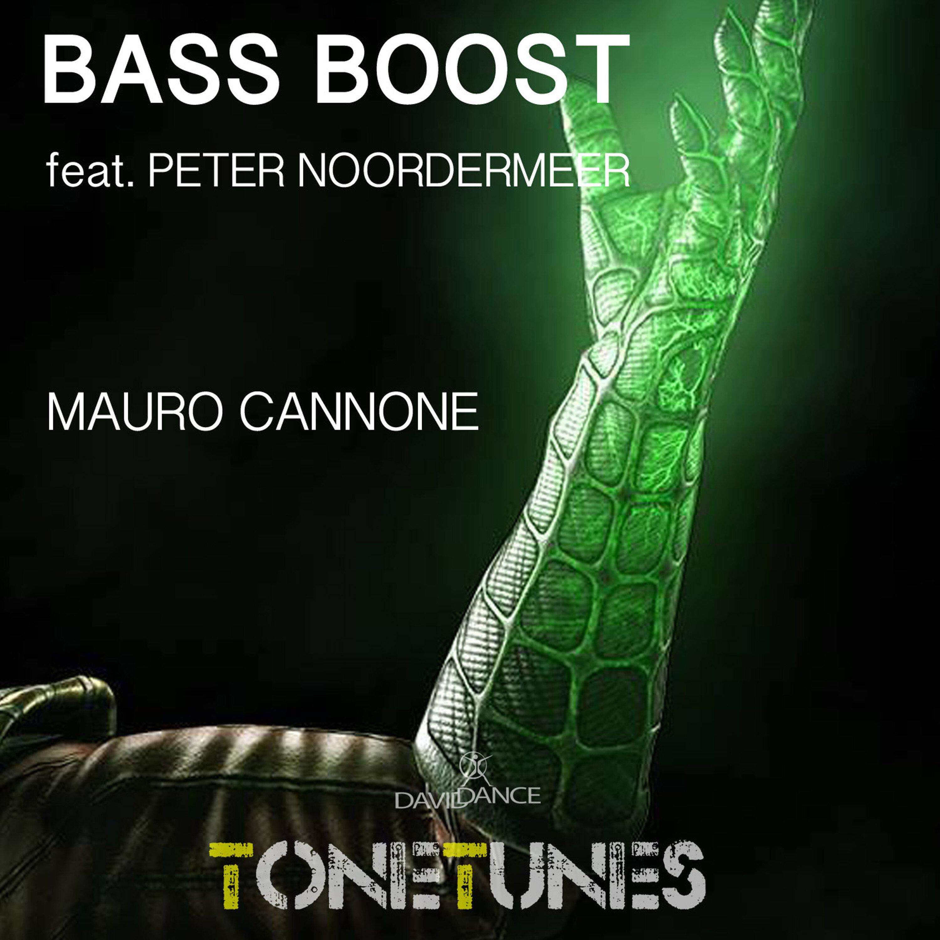 Bass Boost (feat. Peter Noordermeer) (Original mix)