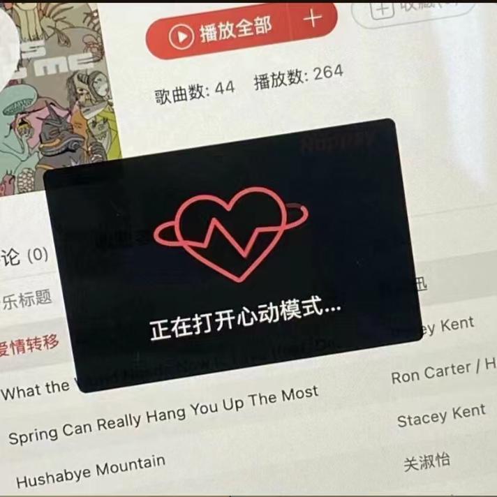 繁华的寂静封面