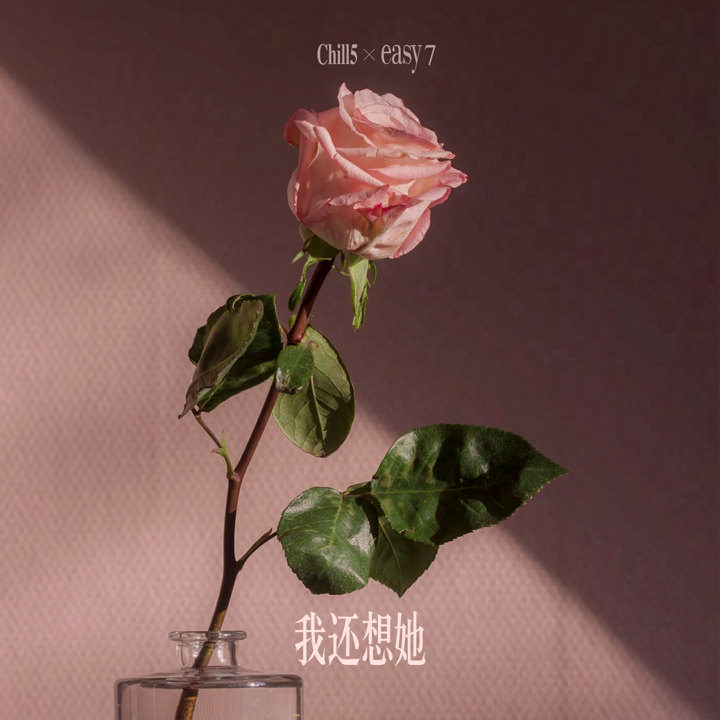 我还想她封面