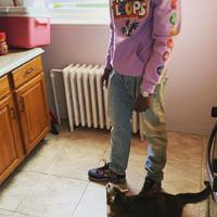 Pagemoney215