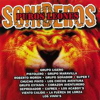 Puros Leones Sonideros