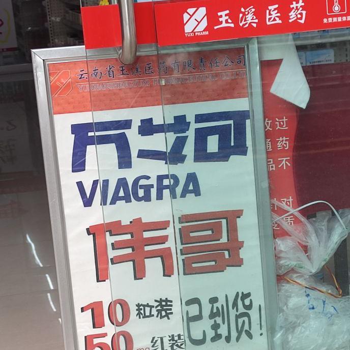 写在玉溪市的一个雨夜：献给易墨女士封面