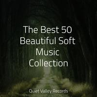 The Best 50 Beautiful Soft Music Collection