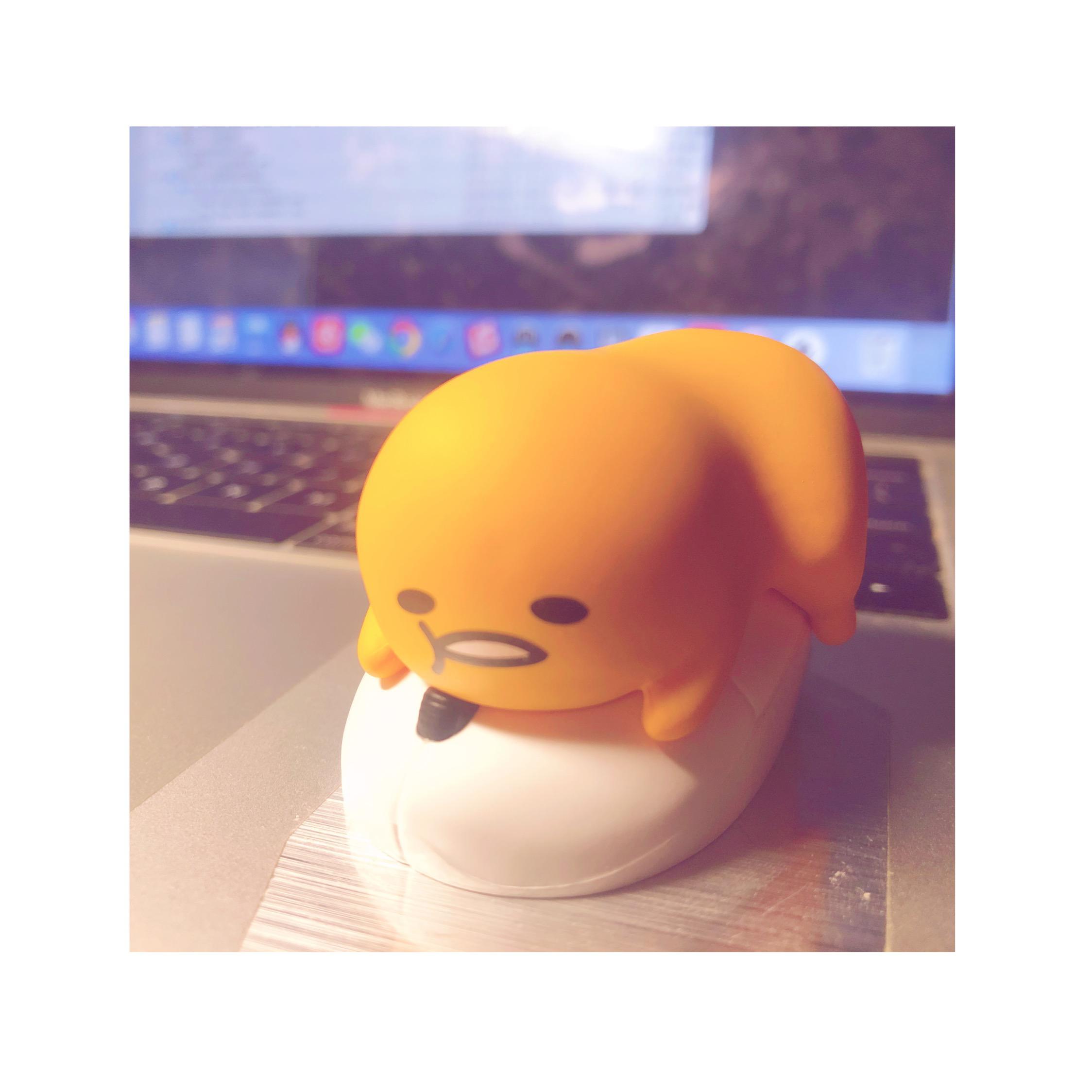 我 的 世 界 只 有 她