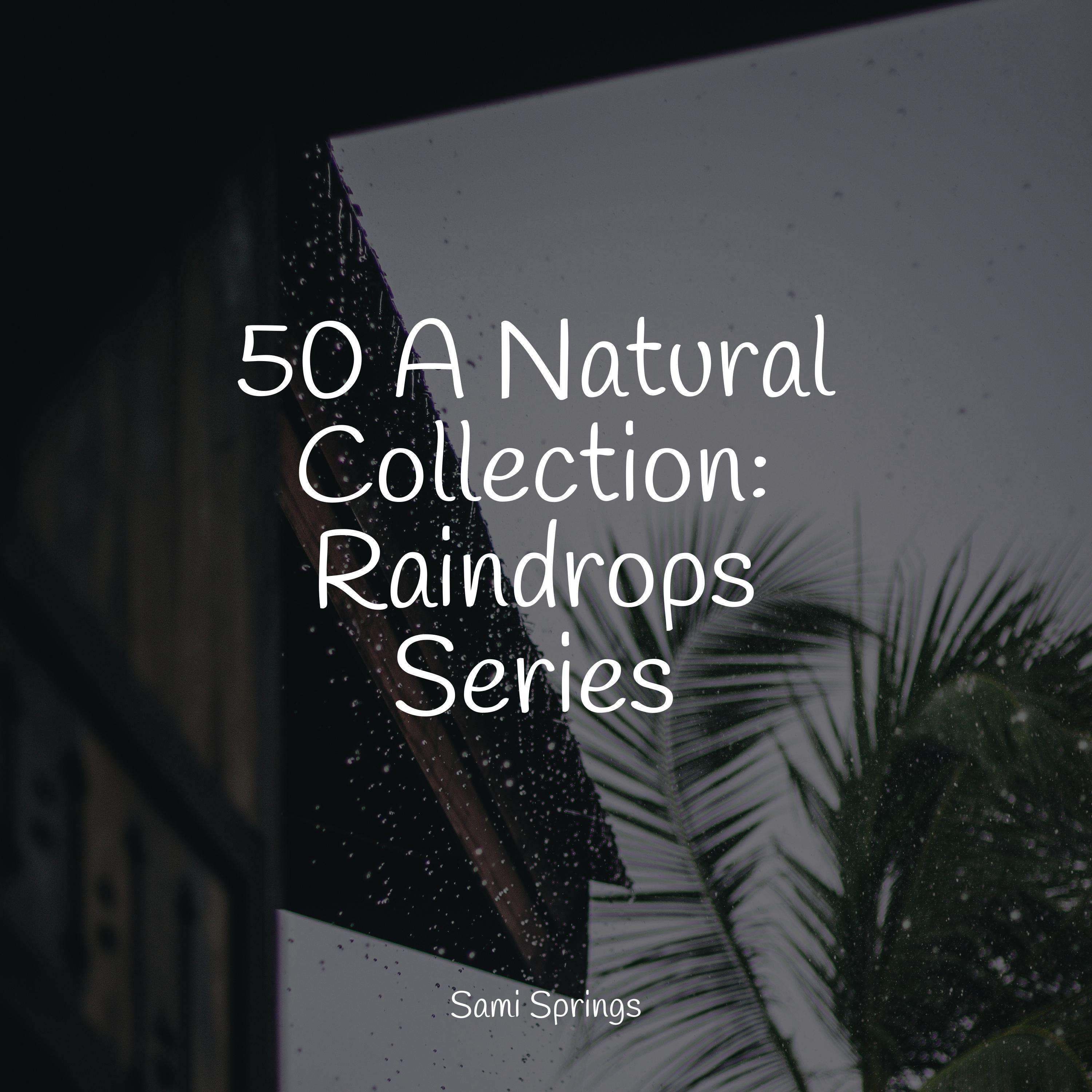 Waves Shore Rugged Water Rain Sounds White Noise Natural Nature 