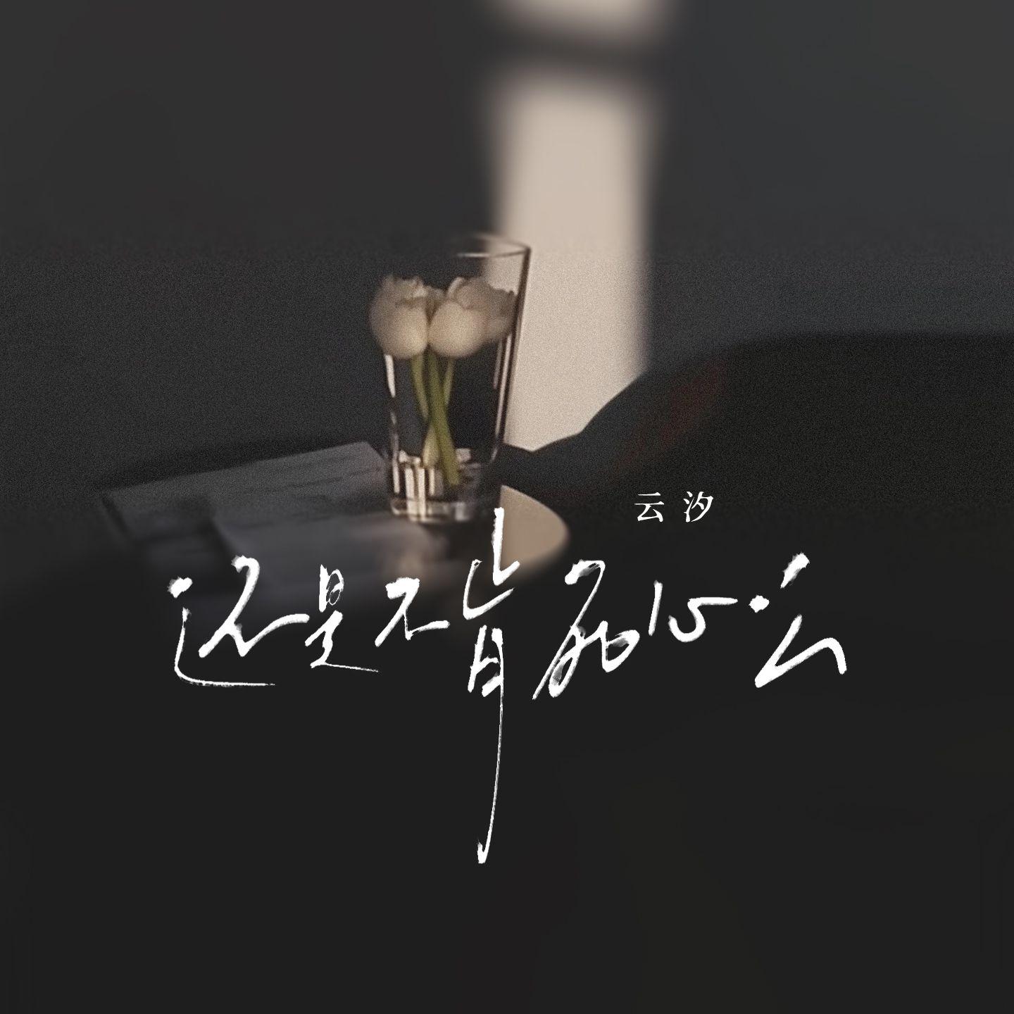 还是不肯死心么专辑