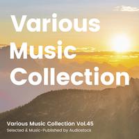 Various Music Collection Vol.45 -Selected & Music-Published by Audiostock-