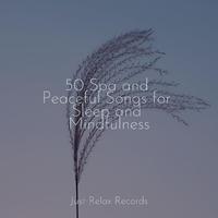 50 Spa and Peaceful Songs for Sleep and Mindfulness