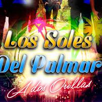 LOS SOLES DEL PALMAR