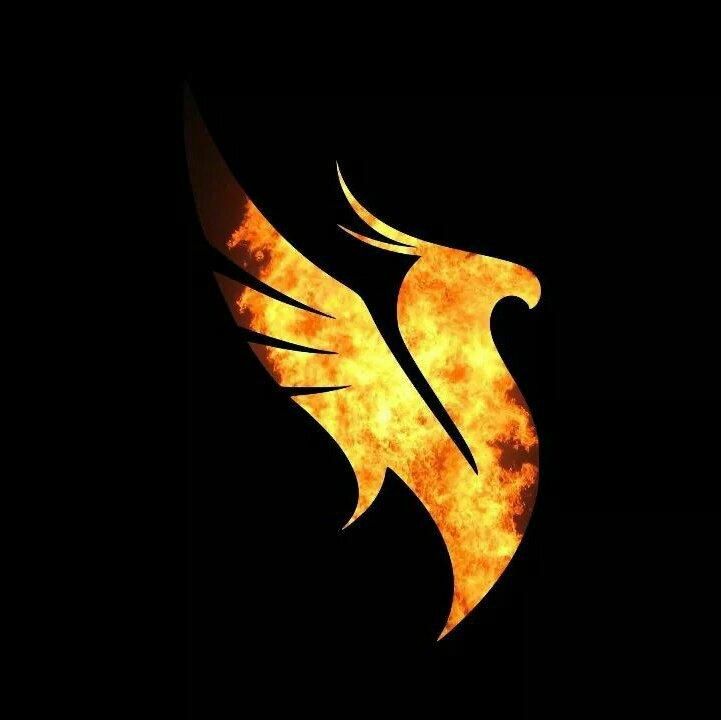 ILLENIUM 2019EDC SET（按顺序）