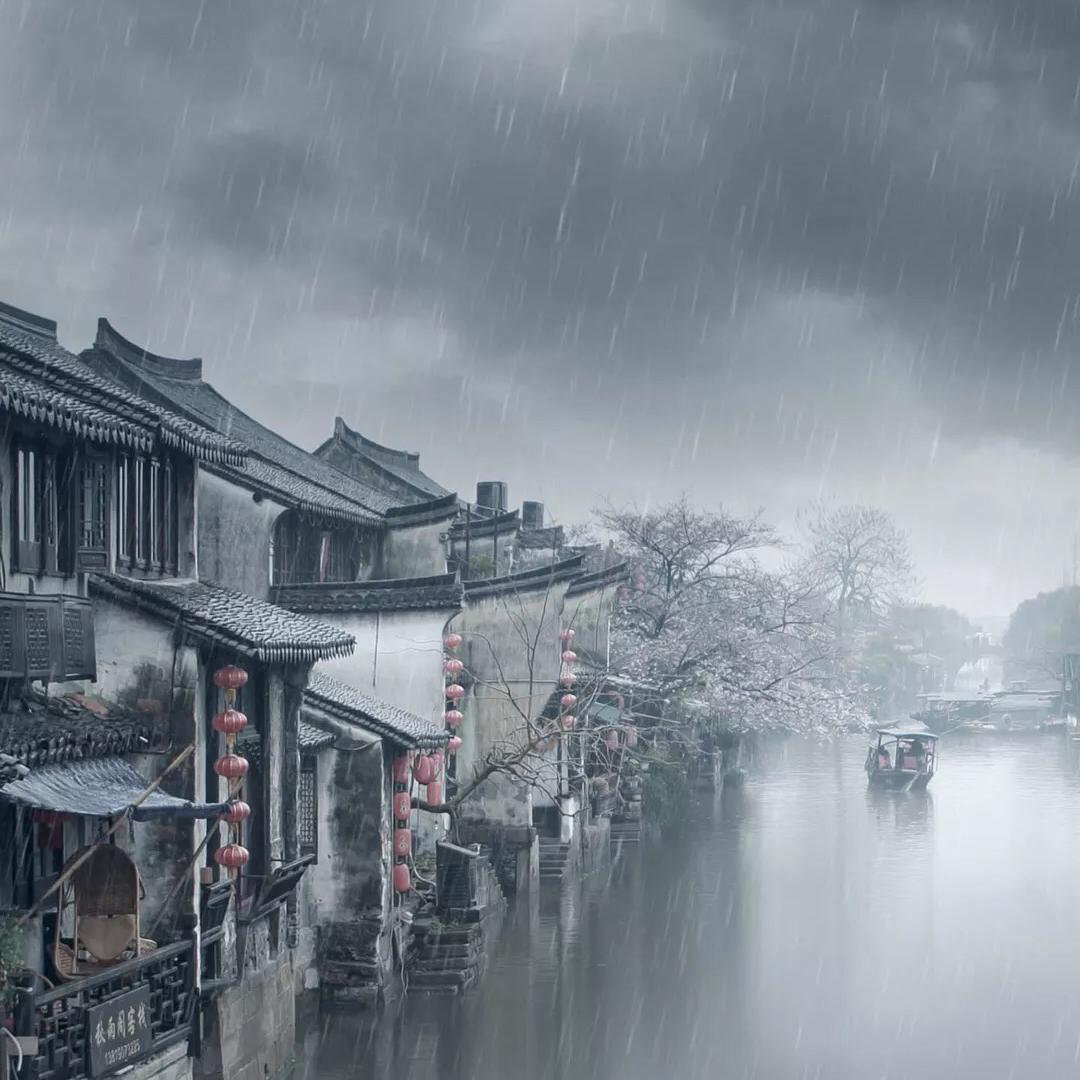 烟雨楼封面