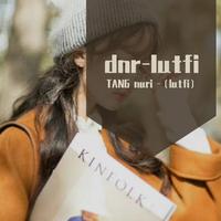 dnr-lutfi
