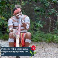 Peaceful Tribal Meditation Didgeridoo Symphony, Vol. 05