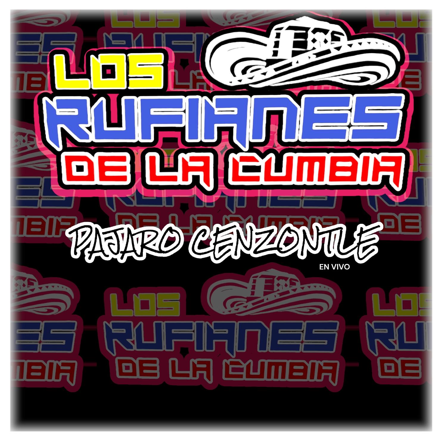 Pajaro Cenzontle(En Vivo)