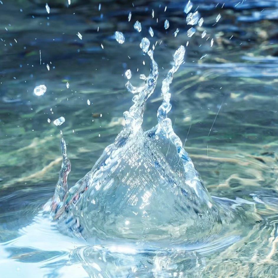 据说这是一个很鲜活的梦