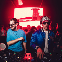 Havoc & Lawn