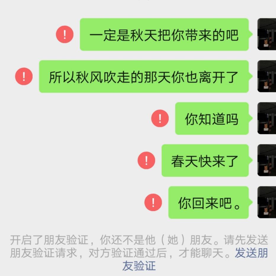 初秋和你封面