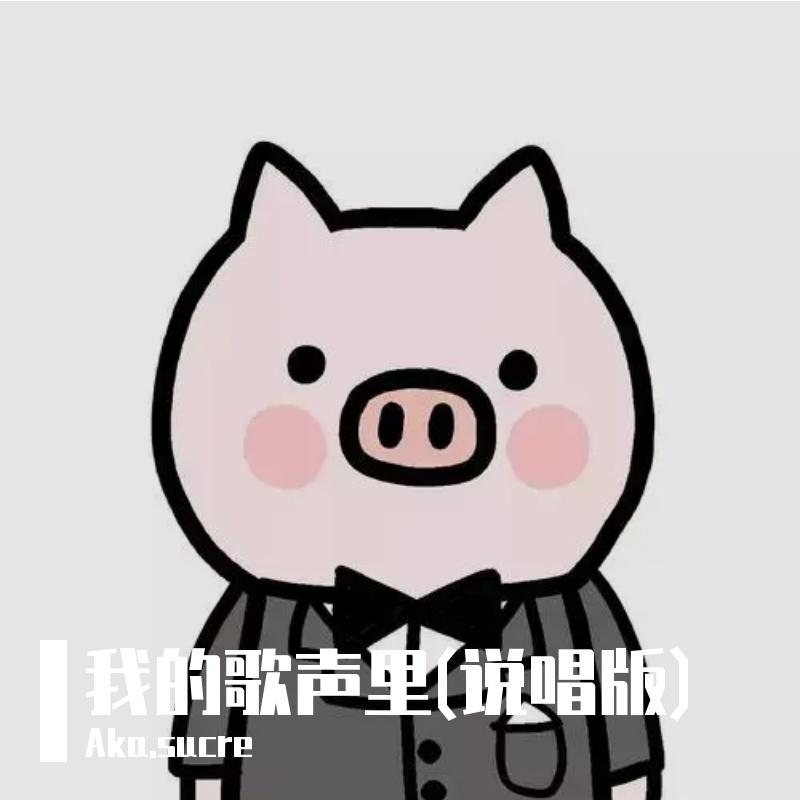 我的歌声里（说唱） - Aka.sucre封面
