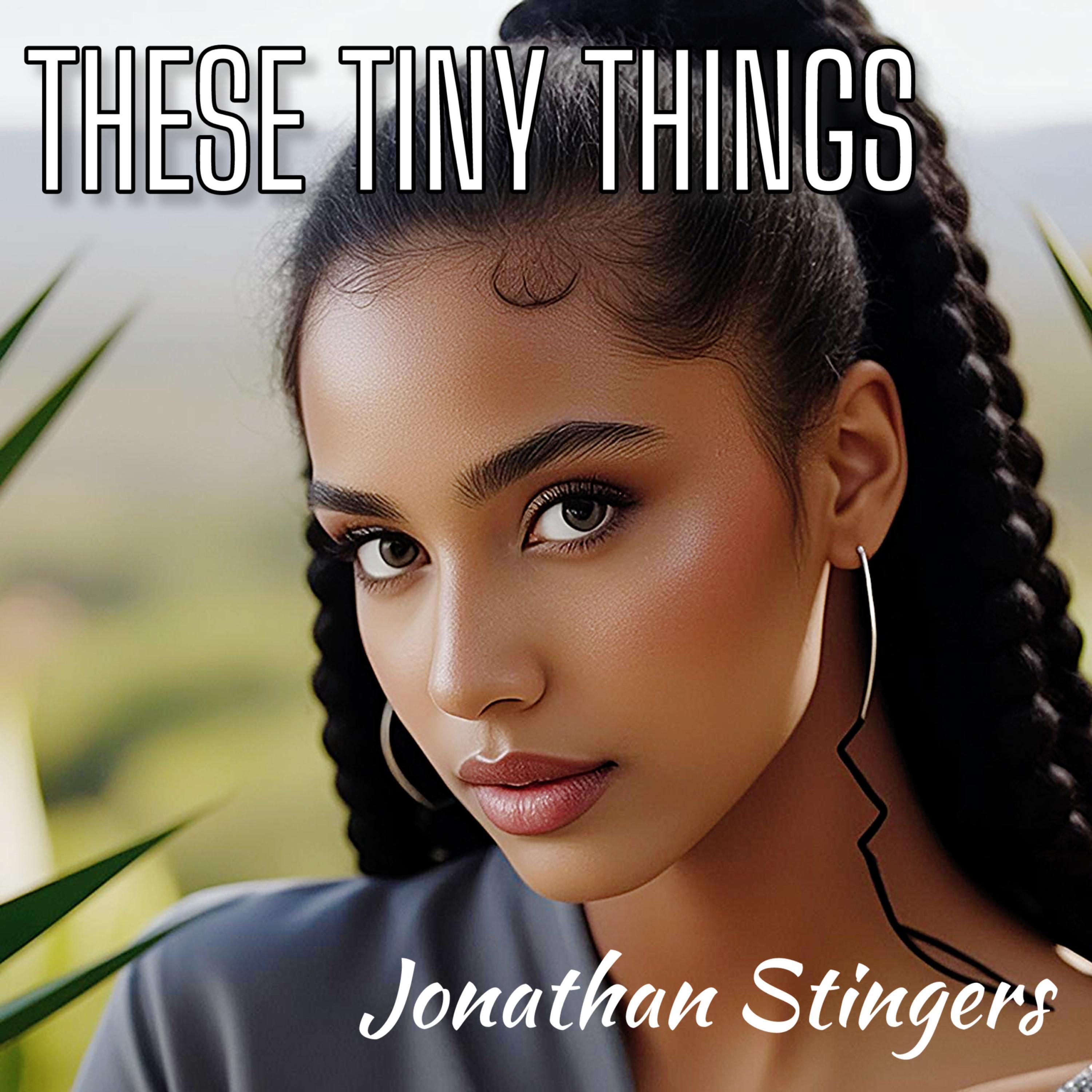 These Tiny Things (feat. Jonathan Stingers)