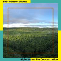 Alpha Waves For Concentration