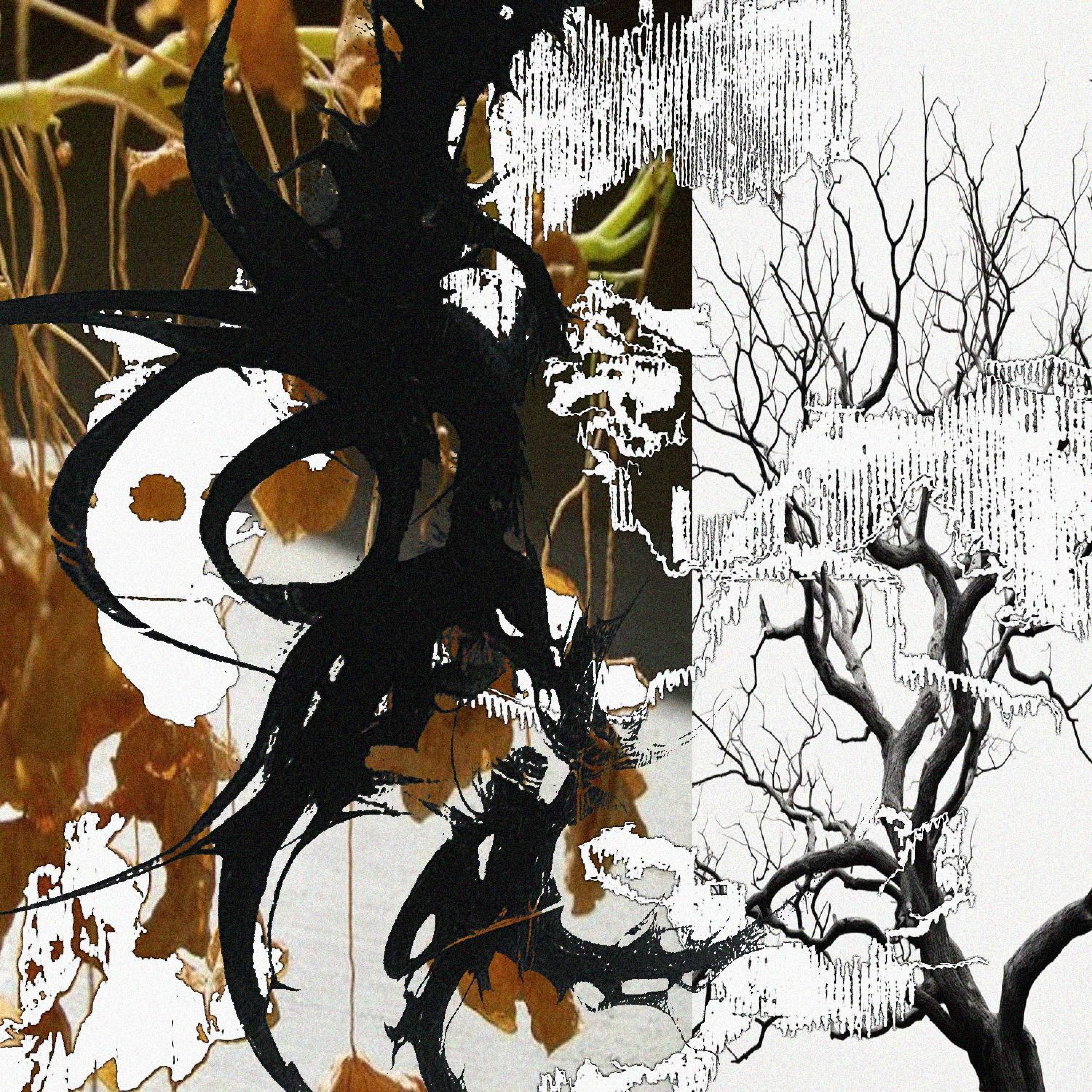 all my plants r dying (feat. kojo)