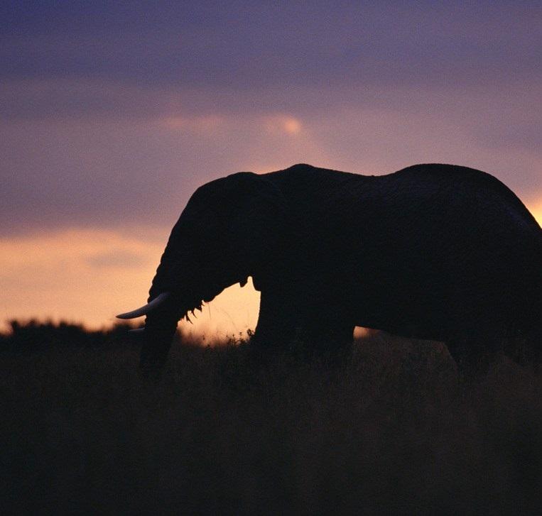 入世集 | 悲伤的情绪汇聚成海，四处涌来