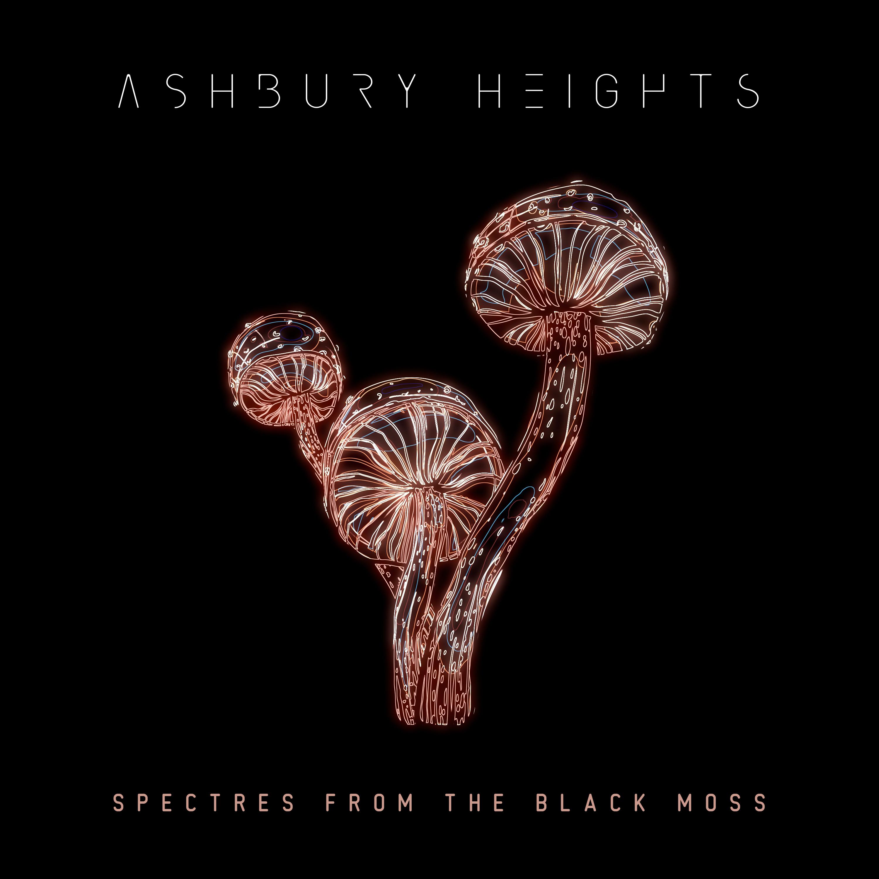 spectres from the black moss
