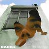 Rahill - Note To Self