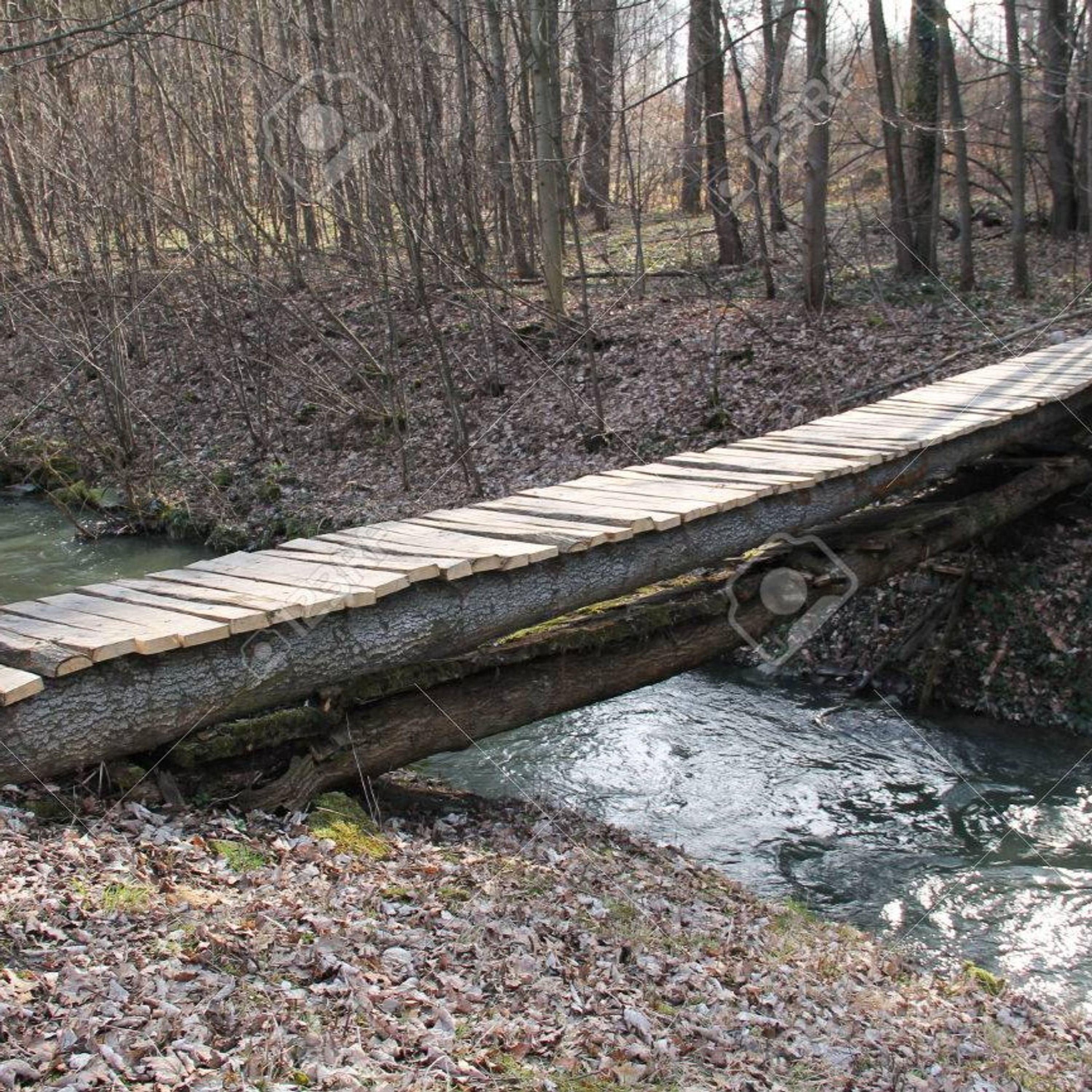 Just Across the Brook ...