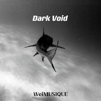 Dark Void