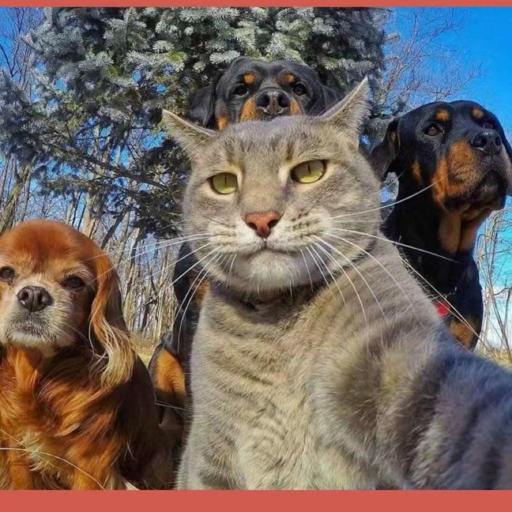 Victory won''t come to me unless I go