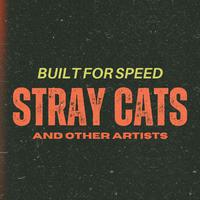 Built for Speed: Stray Cats and Other Artists