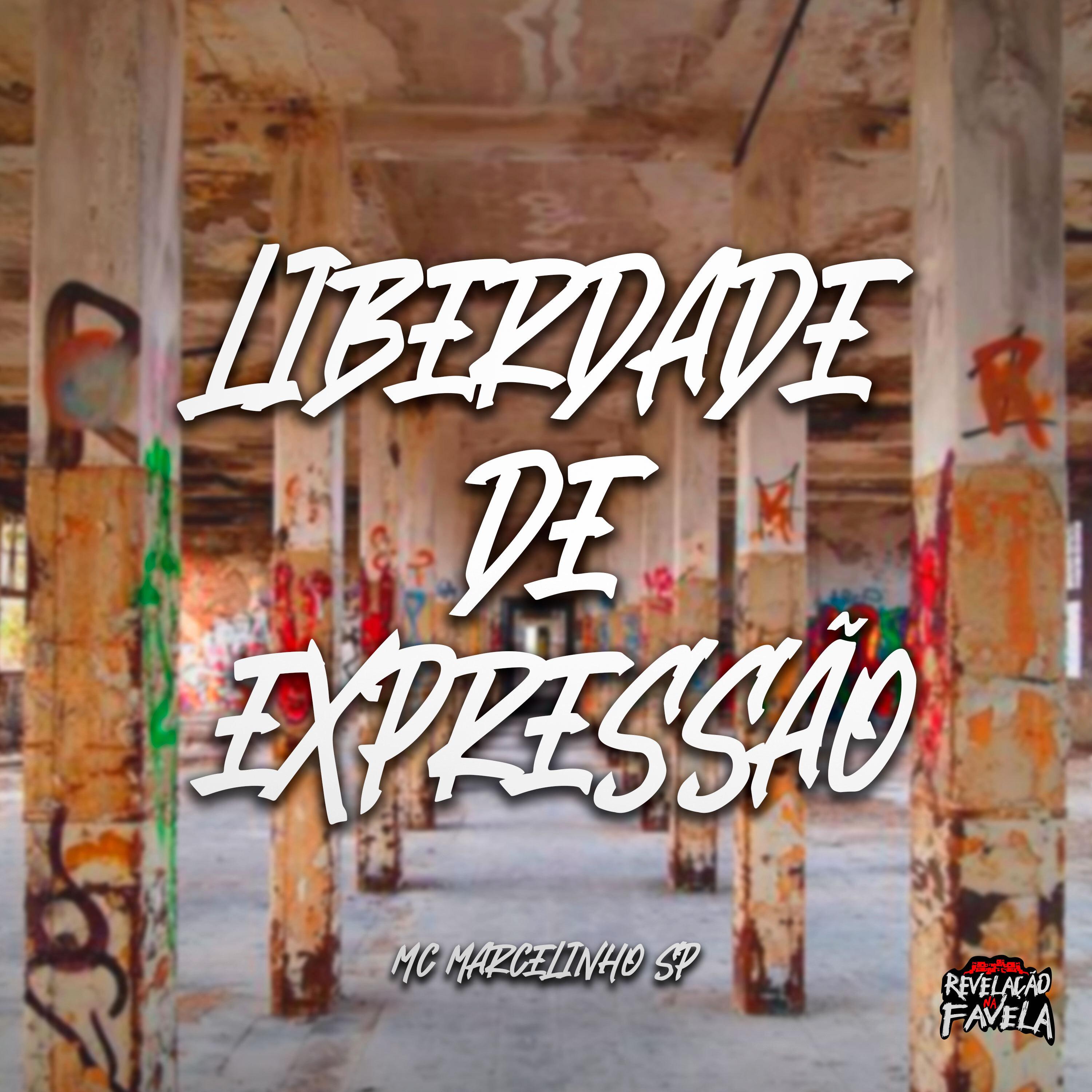 Liberdade de Expressão