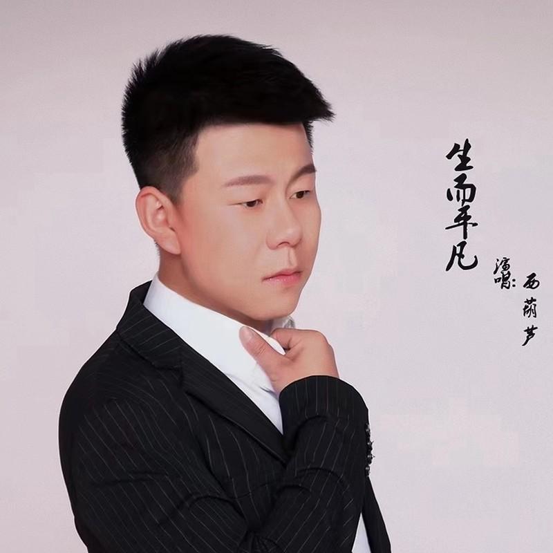 生而平凡(DJ版)封面