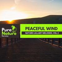 Peaceful Wind - Nature Lullaby Melodies, Vol.2
