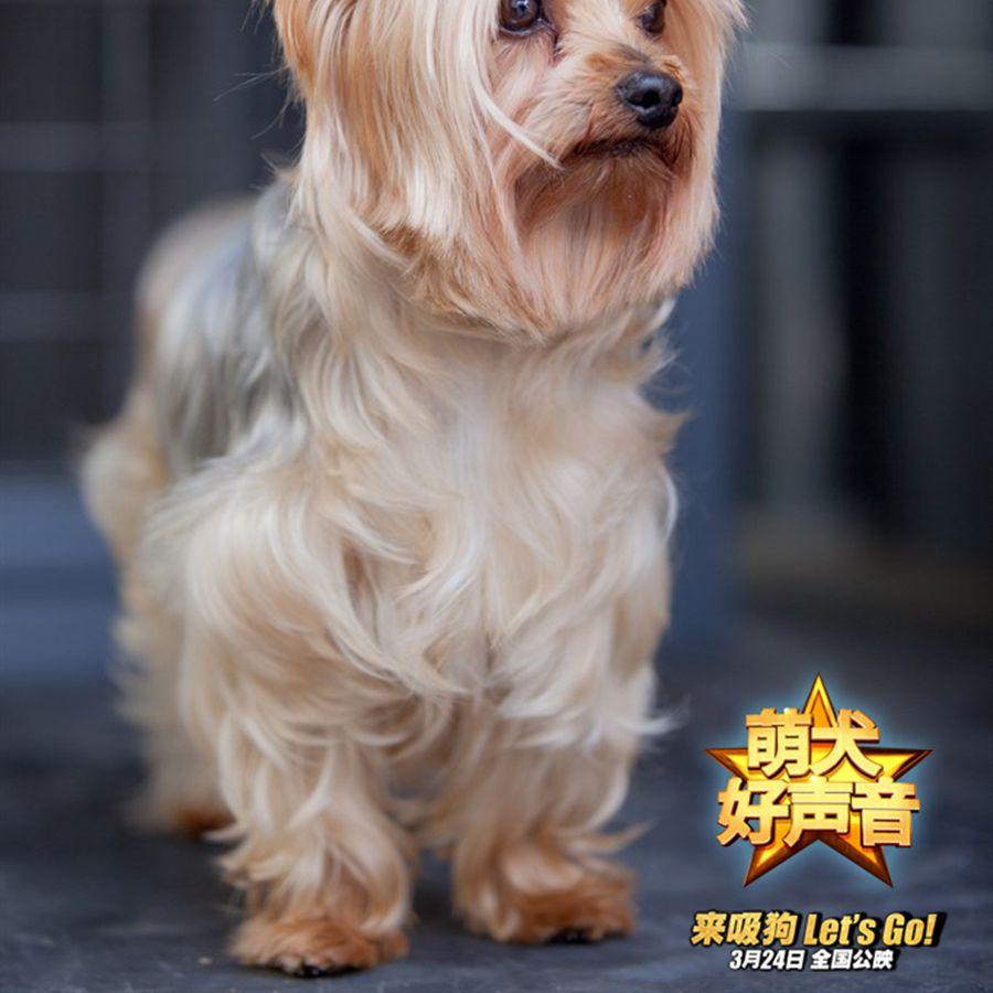 我相信你封面
