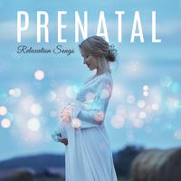 Prenatal Relaxation Songs: Delicate Sounds for Mom & Babies, Best Nature Sounds, New Age Ambient Music