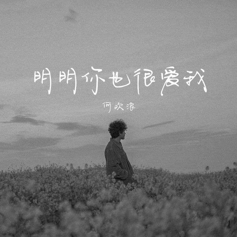 明明你也很爱我封面