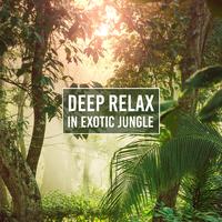 Deep Relax in Exotic Jungle (Amazonian Oasis, Tropical Harmony, Birds of Peace Island, Rhythm of Calming Forest)